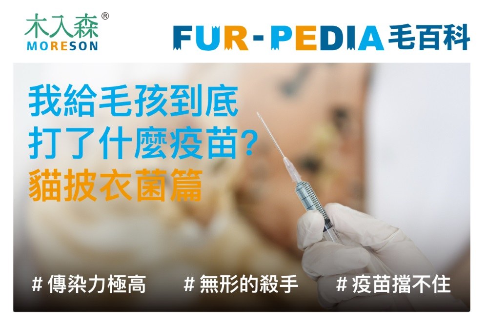 我給毛孩到底打了什麼疫苗?-貓披衣菌篇