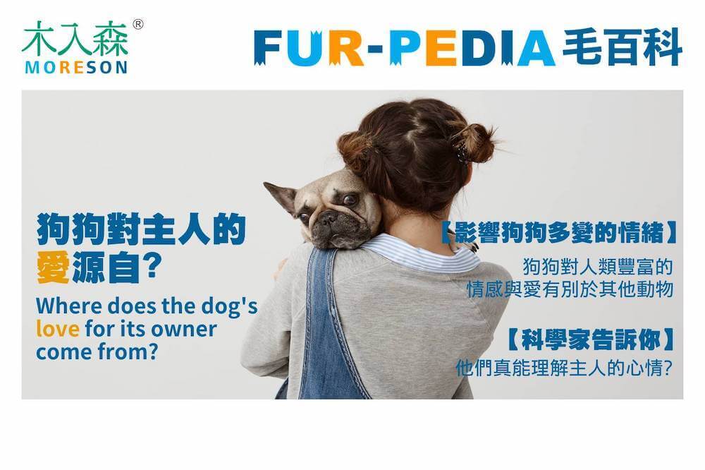 狗狗對主人的愛源自?