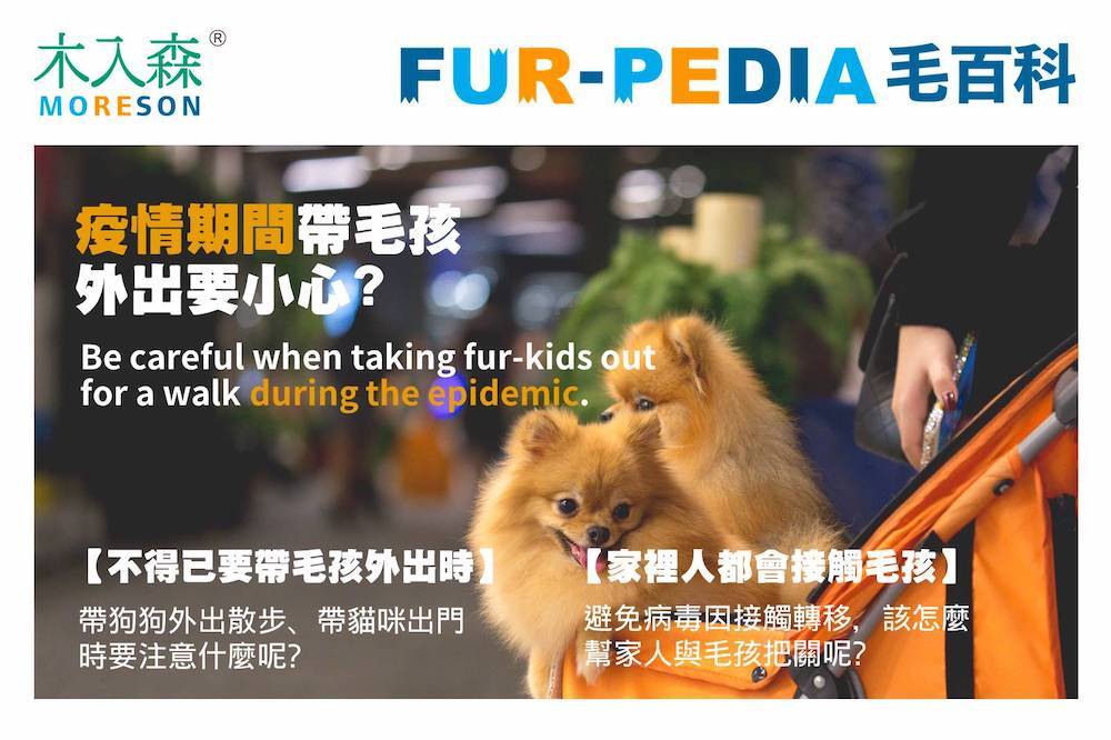 疫情期間帶毛孩外出要小心?
