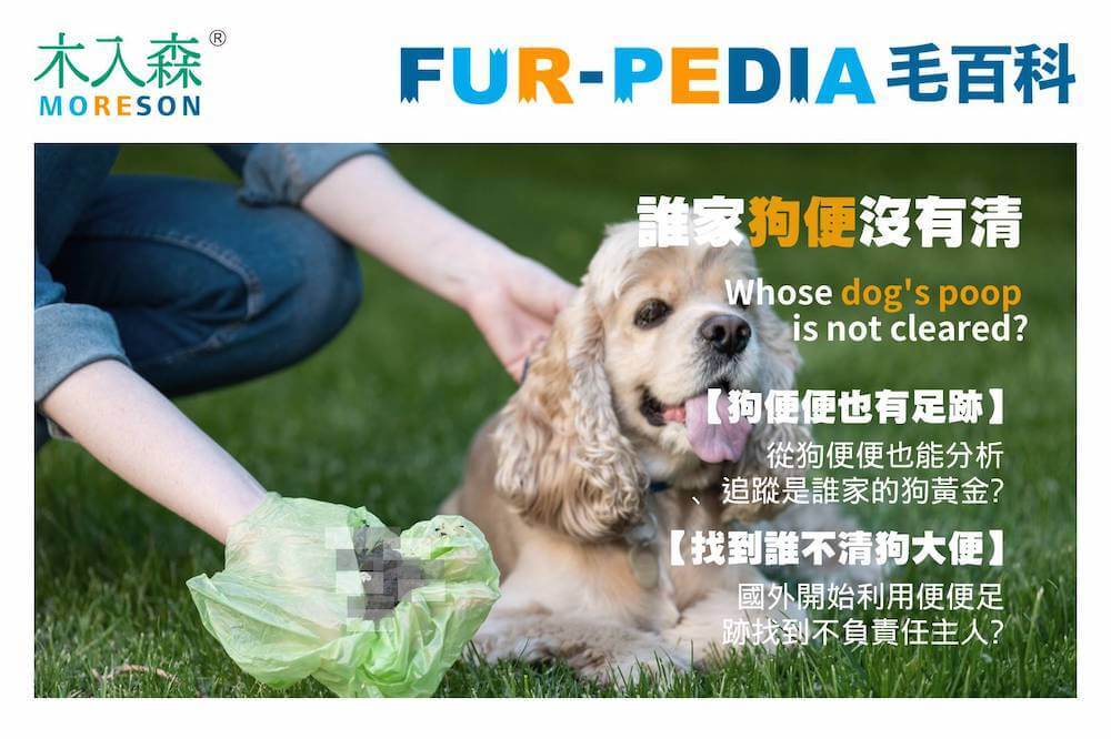 誰家狗便沒有清