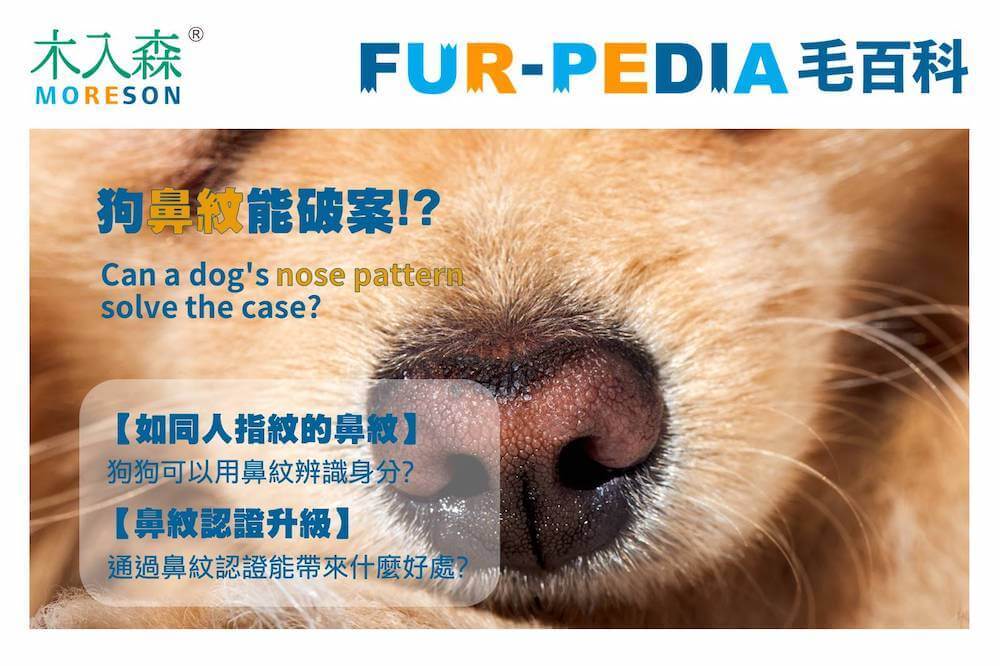 狗鼻紋認證，專屬於狗狗的指紋辨識