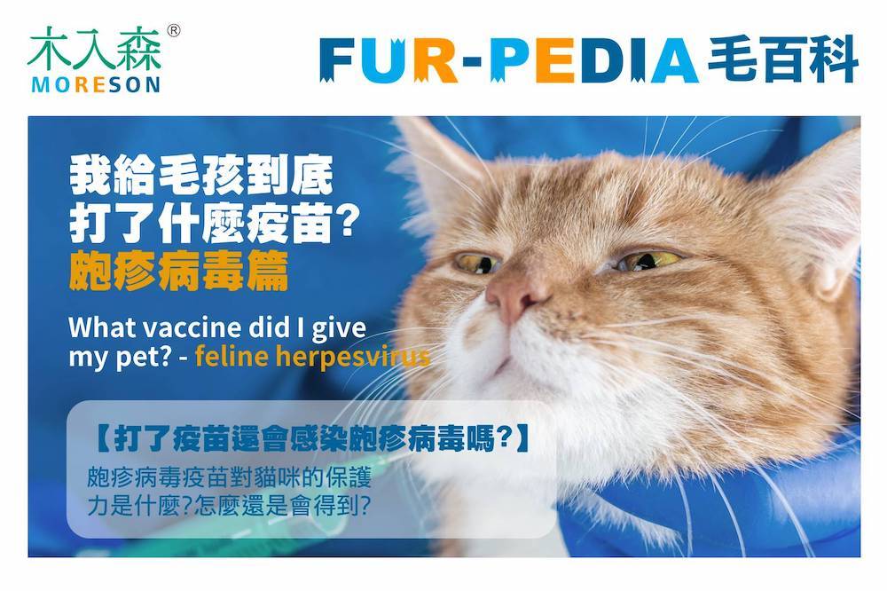 我給毛孩到底打了什麼疫苗?-第一型皰疹病毒篇