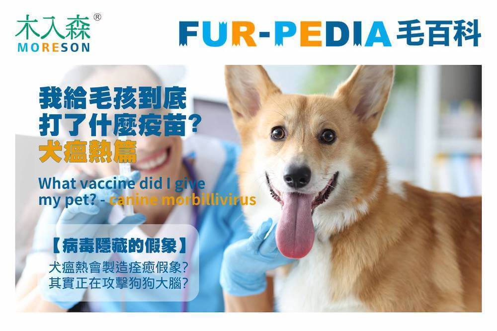 我給毛孩到底打了什麼疫苗?-犬瘟熱篇