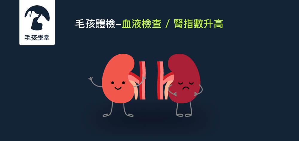 寵物血檢腎指數升高怎麼辦？跟著獸醫師了解腎指數上升的常見原因