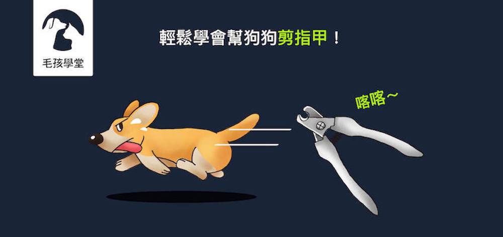 幫狗狗剪指甲好難？３個常見問題把握住，輕鬆學會幫狗狗剪指甲！