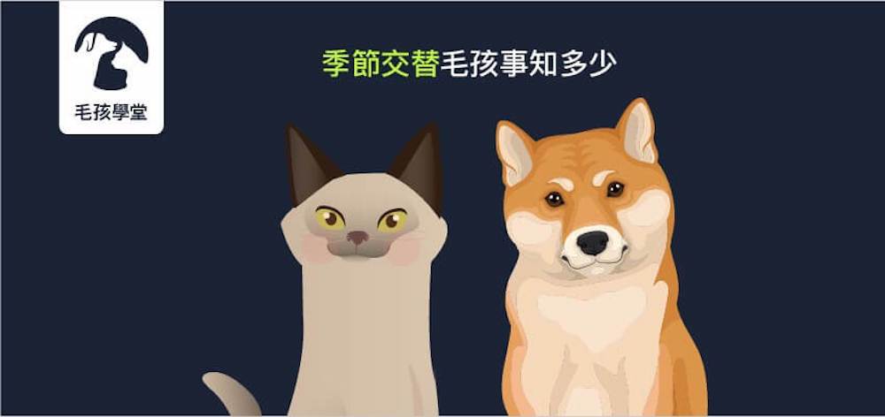  季節交替，毛孩有哪些該注意的地方，常見的敏感症狀又有哪些呢？