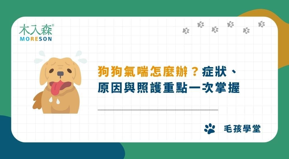 狗狗氣喘怎麼辦？症狀、原因與照護重點一次掌握