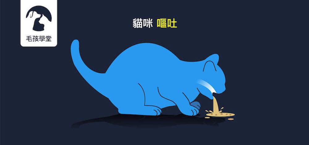 專家：貓咪嘔吐常見情況？5招祕技教你分辨怎麼看！