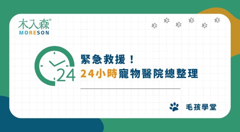緊急救援！「24小時動物醫院」完整清單、評價、費用