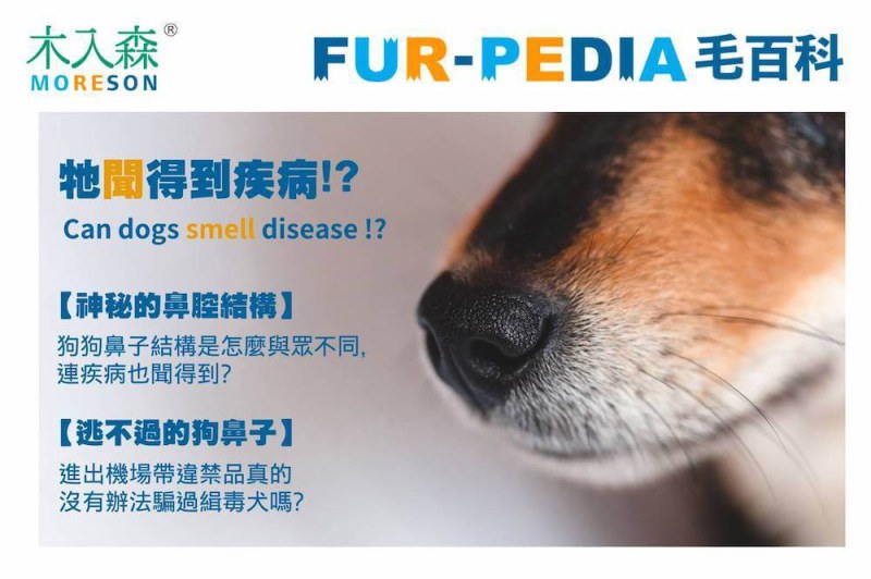 牠聞得到疾病