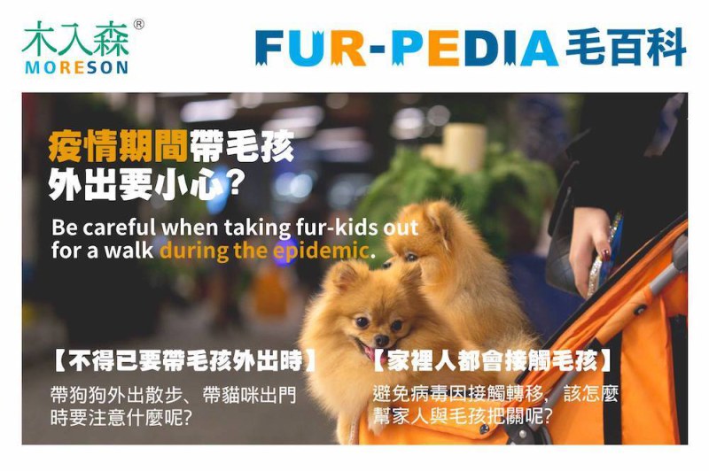疫情期間帶毛孩外出要小心?