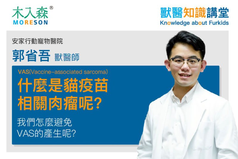什麼是貓疫苗相關肉瘤VAS(Vaccine-associated sarcoma)呢?我們怎麼避免VAS的產生呢?