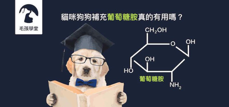 貓咪狗狗補充葡萄糖胺真的有用嗎？營養師來告訴你
