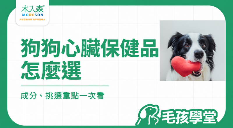 狗狗心臟保健品怎麼選？Q10、牛磺酸、複方挑選重點