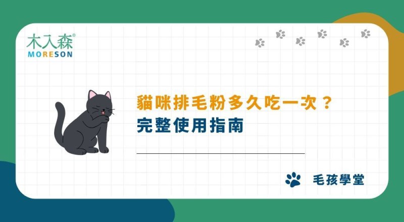 貓咪排毛粉多久吃一次？完整使用指南