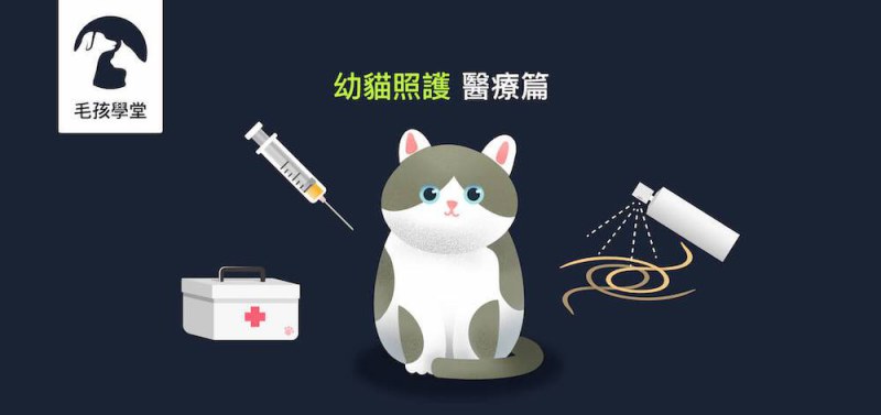 《幼貓照顧-教戰守則.5》醫療篇：疫苗、驅蟲、結紮，一次搞懂Knowhow！