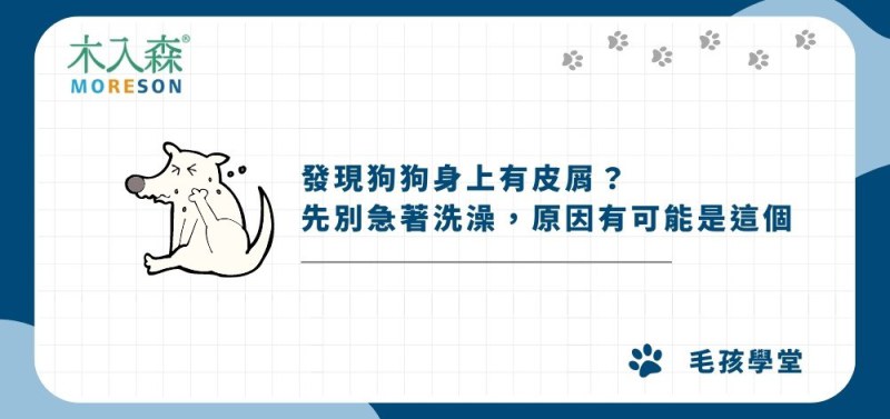 發現狗狗身上有皮屑？先別急著洗澡，原因有可能是這個