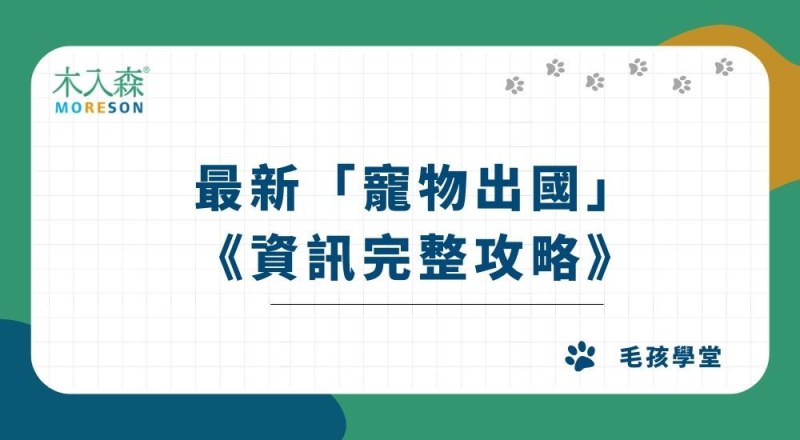 【2026最新】寵物出國資訊總整理！航空公司、費用、行政手續一次看！