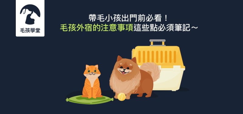 帶毛小孩出門前必看！毛孩外宿的注意事項這些點必須筆記～
