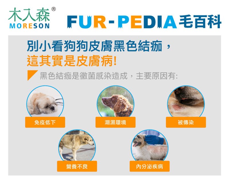 別小看狗狗皮膚黑色結痂，這其實是皮膚病！