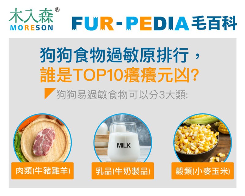 狗狗食物過敏原排行，誰是TOP10癢癢元凶？