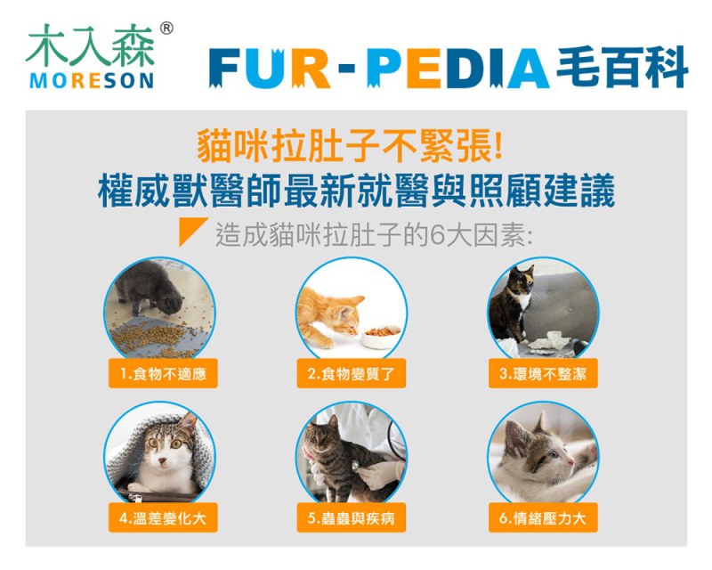貓咪拉肚子怎麼辦？