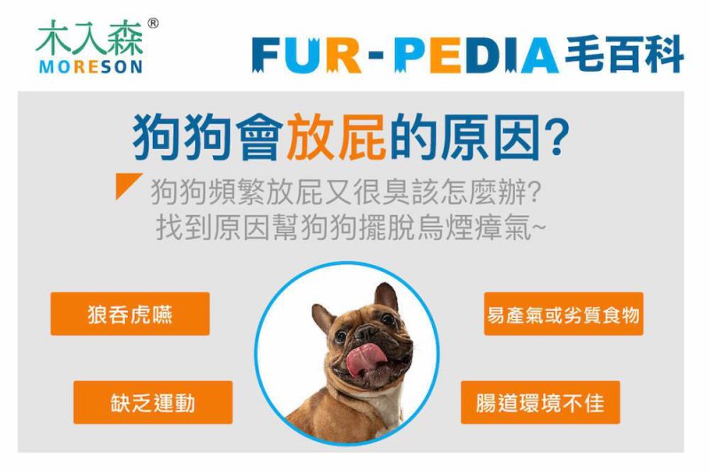 狗狗會放屁的原因?