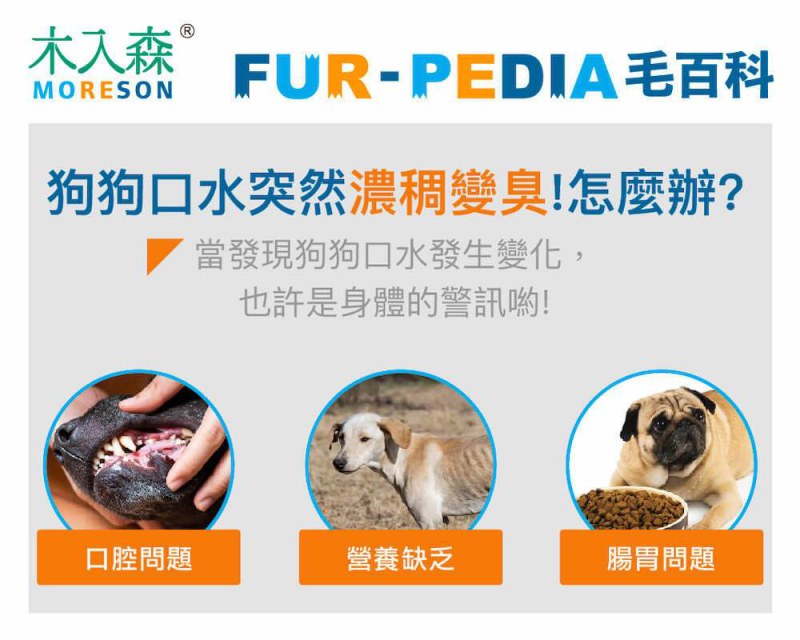 狗狗口水突然濃稠變臭！怎麼了？