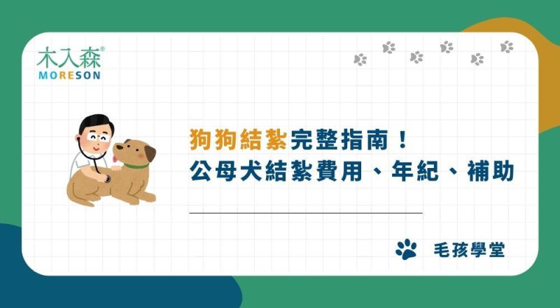 【2026最新】狗狗結紮完整指南：公母犬結紮費用、年紀、寵物補助
