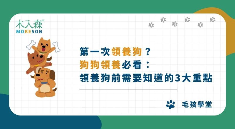 第一次領養狗？狗狗領養必看：領養狗前需要知道的3大重點