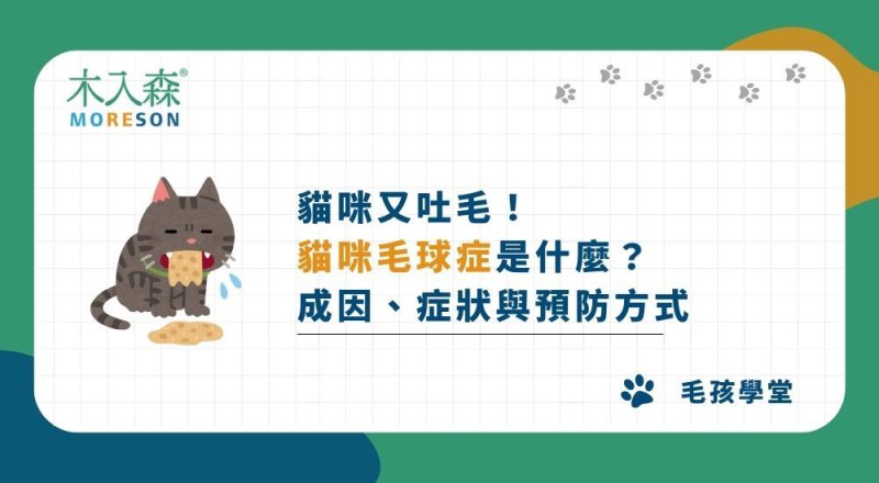 貓咪又吐毛！「貓咪毛球症」是什麼？成因、症狀與預防方式