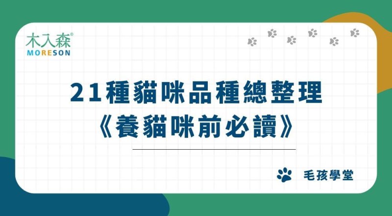 21種貓咪品種總整理｜常見貓品種圖鑑，養貓咪前必讀