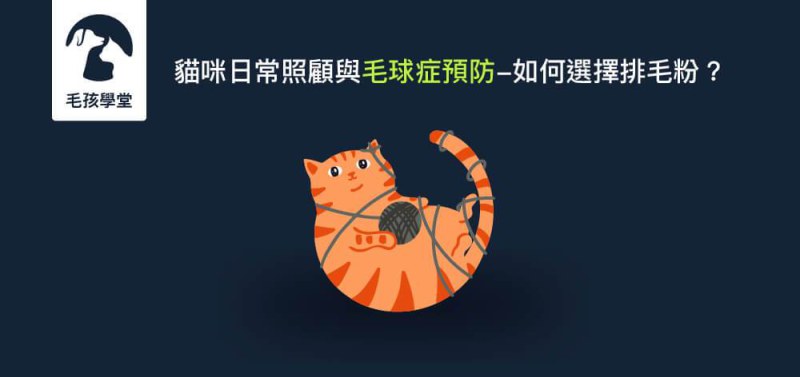貓咪吐毛正常嗎？貓咪日常照顧與毛球症預防