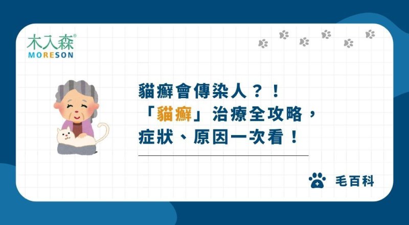人感染貓癬症狀？「貓癬 / 貓黴菌」治療全攻略，症狀、原因一次看！