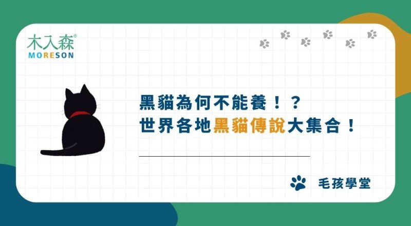 黑貓為何不能養！？世界各地黑貓傳說大集合！