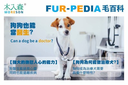 狗狗也能當醫生?