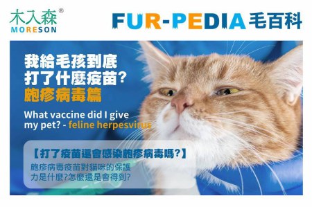我給毛孩到底打了什麼疫苗?-第一型皰疹病毒篇