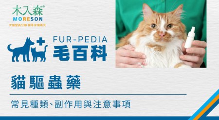 貓驅蟲藥副作用有哪些？常見種類、使用方式與注意事項