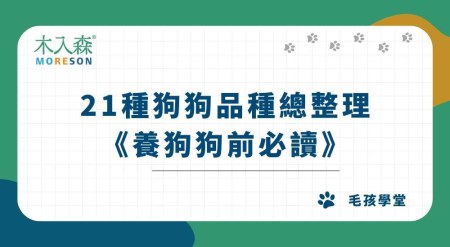 21種狗狗品種總整理｜常見小型犬、大型犬介紹