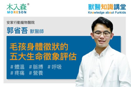 毛孩身體徵狀的五大生命徵象評估