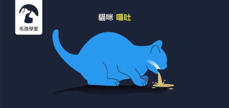 專家：貓咪嘔吐常見情況？5招祕技教你分辨怎麼看！