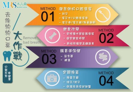 家裡的狗狗為何會口臭呢？狗狗口臭原因與解決方式