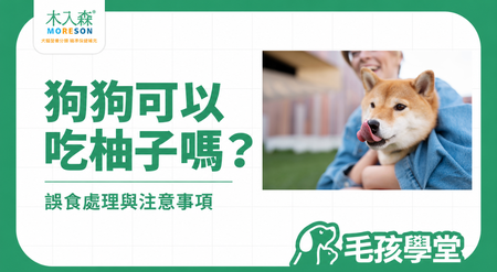 狗狗可以吃柚子嗎？果肉、果皮與誤食處理一次看