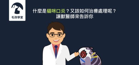 什麼是貓咪口炎？又該如何治療呢？讓獸醫師來告訴你！