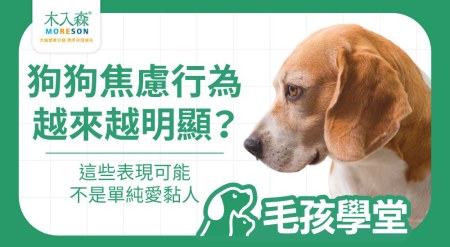 狗狗一直叫怎麼辦？從吠叫看懂狗狗焦慮行為