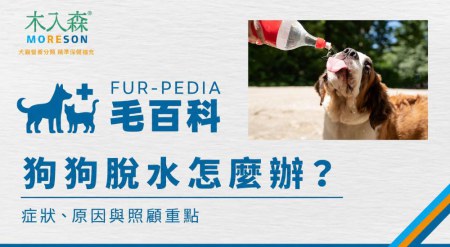 狗狗脫水怎麼辦？症狀、原因與嘔吐腹瀉後的照顧重點