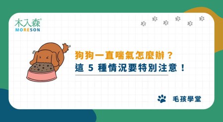 狗狗一直喘氣怎麼辦？這 5 種情況要特別注意！
