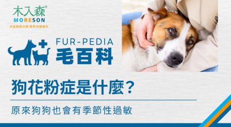 狗花粉症是什麼？原來狗狗也會有季節性過敏