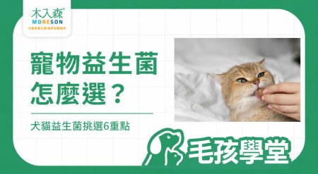 寵物益生菌怎麼選？犬貓益生菌複方與挑選重點