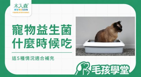 寵物腸胃益生菌什麼時候該吃？哪些情況適合補充？